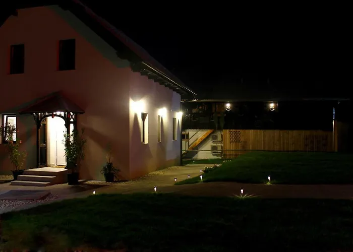 The Jungle Apartments And Rooms