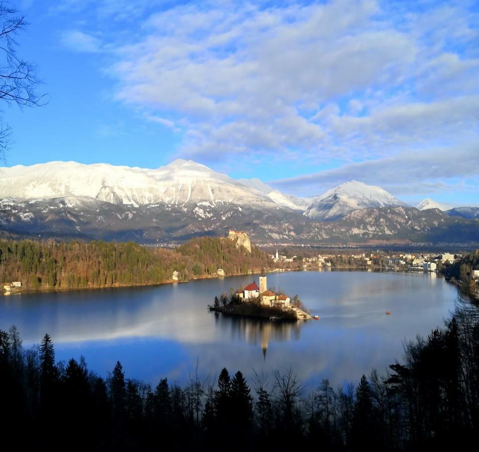 Affittacamere The Jungle And Bled