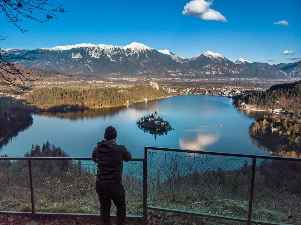 The Jungle And Hiša za goste Bled
