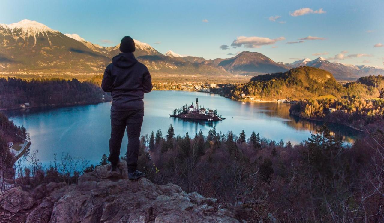 The Jungle And * Bled